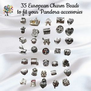 35 Themed European Charm Beads in Silverplate Set of 35 All Different!